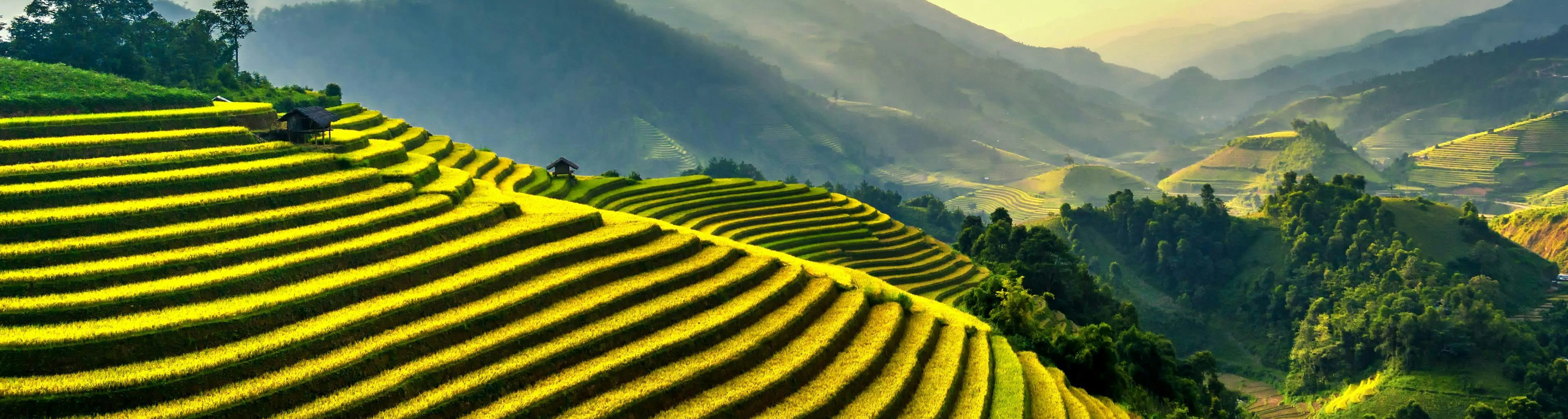 header-img-1